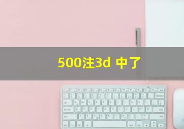 500注3d 中了